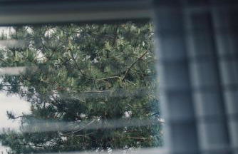 Pier View Felixstowe - Sea View, 50m from the beach - Foto 51