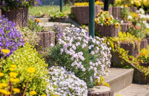 Schoene Ferienwohnung in Damshagen an der Ostsee - Foto 64