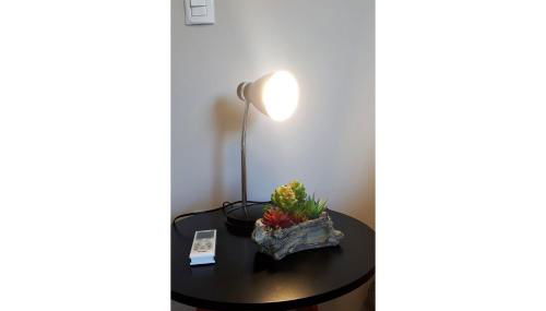 Studio Central Belga Master Collection - Foto 3