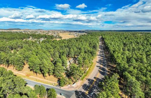 Luxury Retreat with Hot Tub Fire Pit & Forest Views - Foto 60