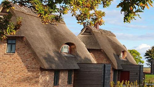 Reetdorf Geltinger Birk Malerhaus Wollgras - Foto 4