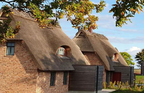 Reetdorf Geltinger Birk Malerhaus Wollgras - Foto 3