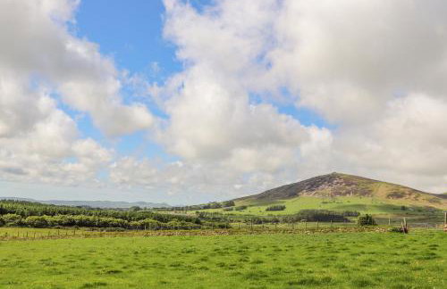 Caban Cwtch The Cosy Cabin - Foto 34