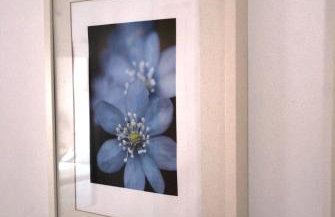 Villa Fleria Seaside Studios & Apts - Foto 36