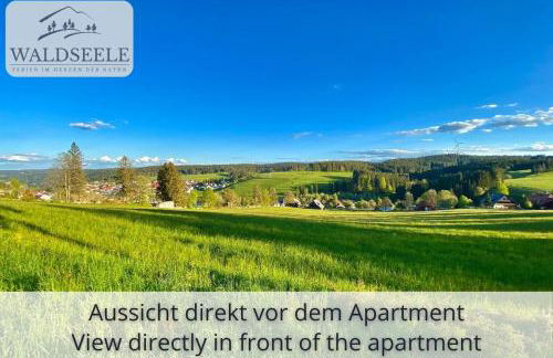 Exklusives 5-Sterne Apartment Waldseele mit Indoor-Pool, Sauna, top Lage und Ausblick in die Natur, Hunde willkommen - Foto 16