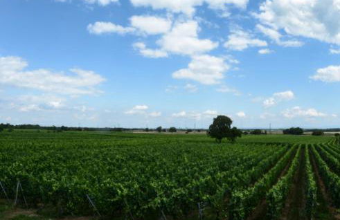 Gîte Spa La grange - Foto 14