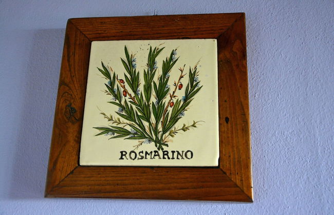 Agriturismo Cantagallo - Foto 49