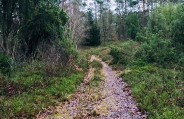 Haus Sonnenschein - Foto 15