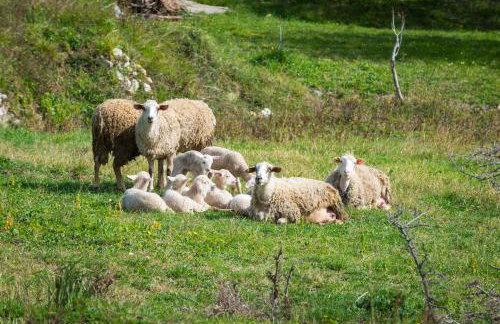 Villa Paulina - Foto 45