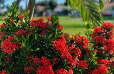 Paradise Home, Tranquil canal view 3-BDR in Golfers paradise - Foto 12