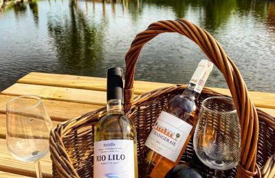 Dwór Sulejów - Photo 19