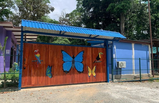 Caribbean Blue Morpho - Foto 23