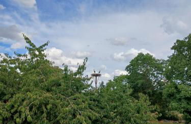 Storchennest-Kraatz - Photo 16