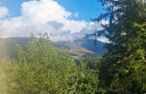 Harriet's Hideaway - Foto 10