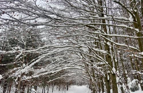 Feel-Harmonia w Nowym Kawkowie - Foto 23