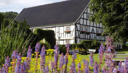 Ferienhof Bieke - Foto 3