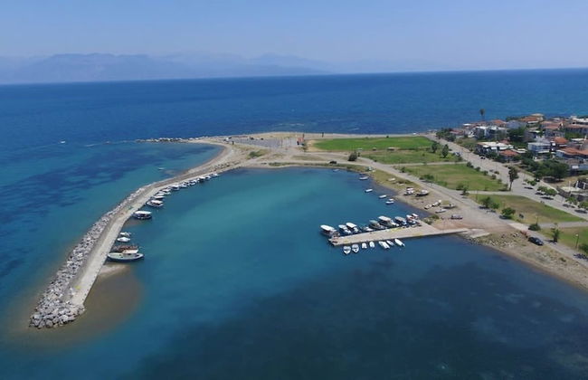 Aelia Guesthouse - Olive Grove Retreat - Foto 23