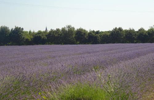 gite la bonnelle piscine spa - Foto 10