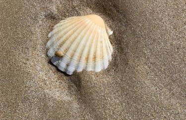 Villa Graveloup Erquy - Foto 27