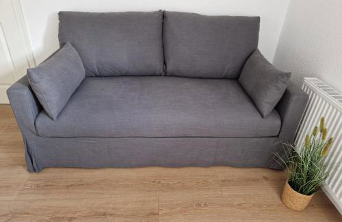 Robbe beim Ochsenturm am Deich - Foto 16