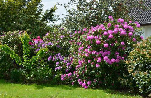 Ferienhaus Scholien - Foto 47