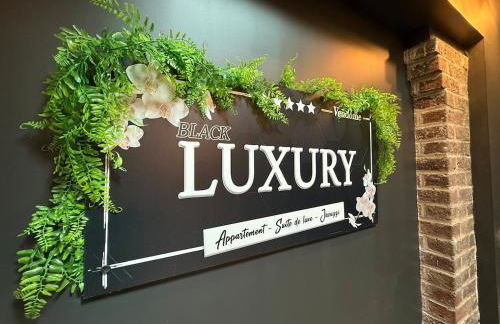 LUXURY VENDÔME - Loft - suite de luxe - Jacuzzi - Appartement entier - Foto 22