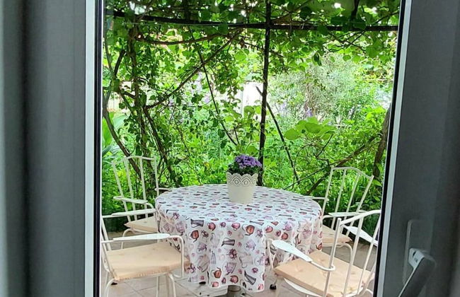 Green Garden Oasis - Photo 19