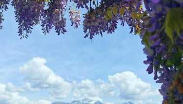 Residence Celeste - Foto 2