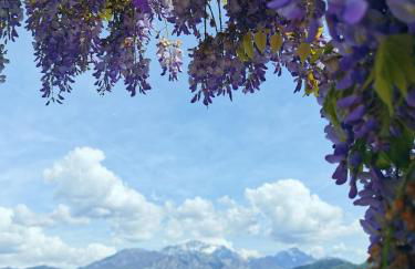 Residence Celeste - Foto 2