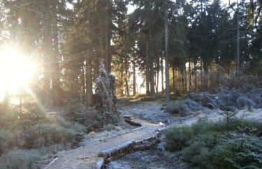 Ferienwohnung Zimt und Zucker - Foto 24