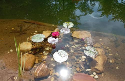 Wohnung am Schwimmteich - Foto 17