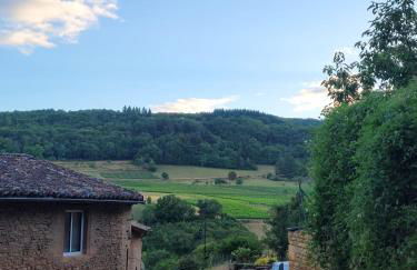 Beaujolais - Maison pierres dorées - Foto 44
