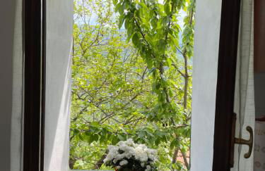 Casa di nonno Memé CITRA 008035-LT-0018 - Photo 34