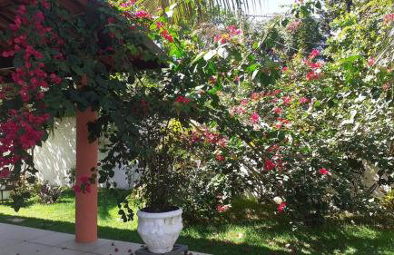 Large house with pool, barbecue and garden - Foto 33