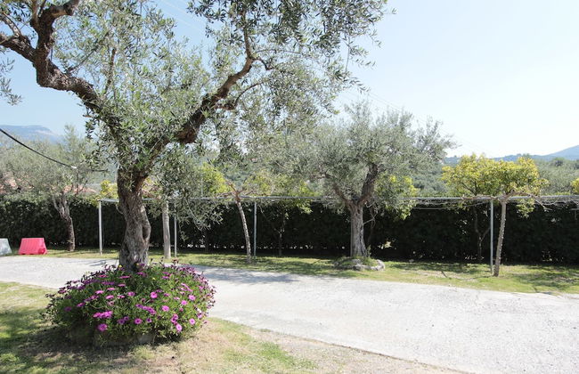 Apollon Apartments - Photo 15