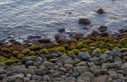 Casa da Guida - Foto 32