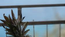 Apartman None - Photo 3