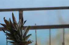 Apartman None - Photo 3