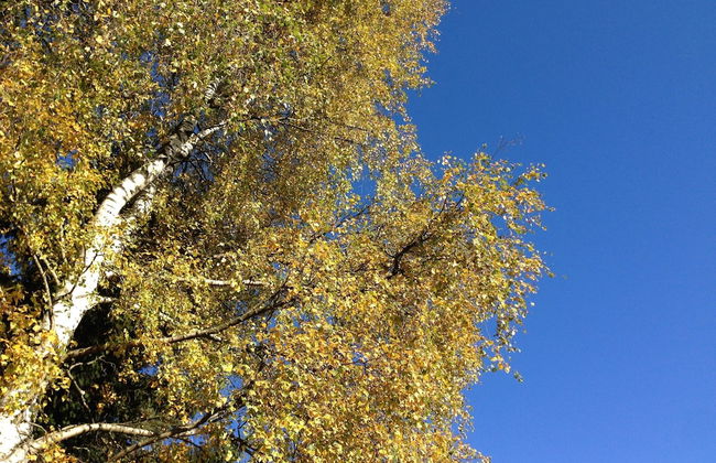 Ferienhaus in Tannesberg for 4 Personen - Foto 10