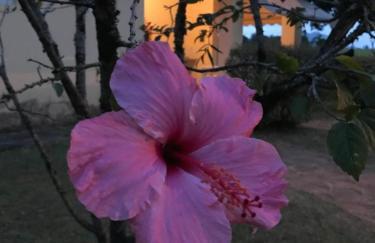 Chácara das Palmeiras - Piscina, Churrasqueira e Campo - Foto 53
