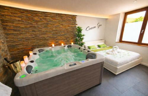COCOON SPA-4 Pers-Jacuzzi-Parking-Jardin-Clim-Colmar - Foto 14