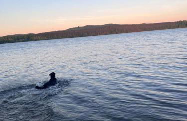 Spacious Condo Downtown Traverse City - Foto 25