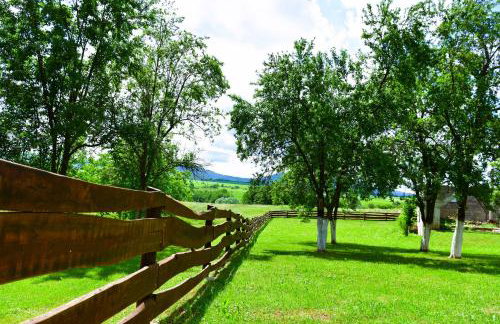 Apartman Jelena - Foto 29