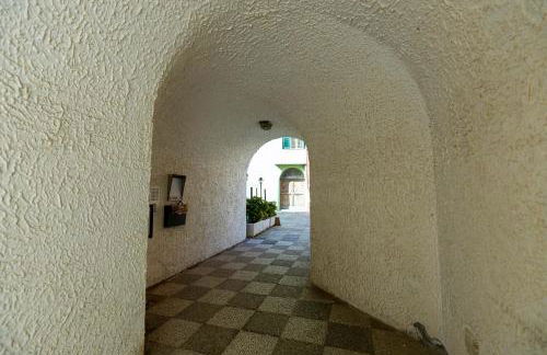 Riccio di Mare - Foto 26