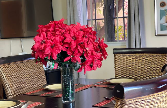 Montego Bay-Island Escape-Free-Shuttle - Foto 37