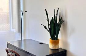 Terracota 2 Quartos Parque Cidade Pet Friendly - Foto 15