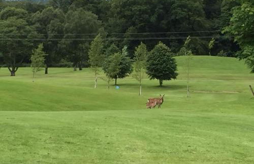 Strule Cottage - Foto 34