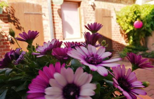 Lychen-Daheim, Studio im Herzen von Lychen - Photo 1