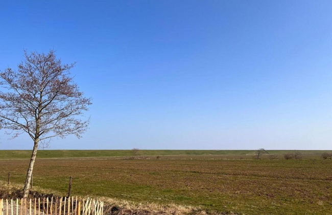 Villa in Wieringer Style With Hot Tub - Foto 40