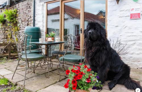 Ty Fferm Hen, Ancient Farmhouse, Coity Bach - Foto 22